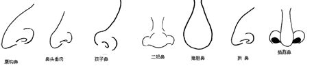 鼻孔形狀面相|麦玲玲面相讲座之 鼻子 – 人相学